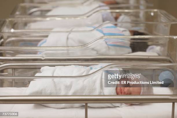 newborn babies sleeping in hospital nursery - sala de maternidad fotografías e imágenes de stock