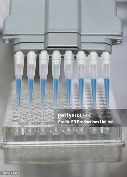 Handheld Cloning Machine 112 Cloning Machine Stock Photos, High-Res Pictures, and Images - Getty ...