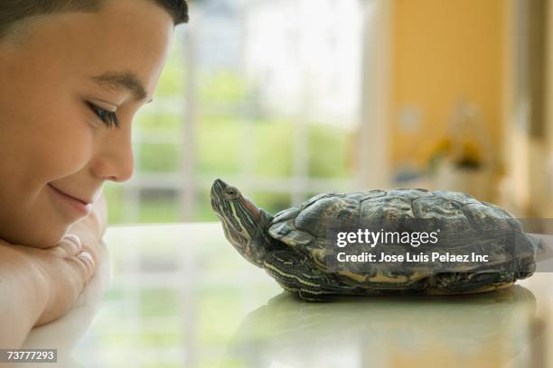 close up of hispanic boy smiling at turtle - animale domestico foto e immagini stock