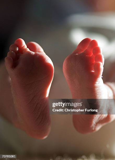 In this file photograph taken on March 20 a two-week-old boy finds his feet in his new world. Health Secretary Patricia Hewitt announced, April 3,...