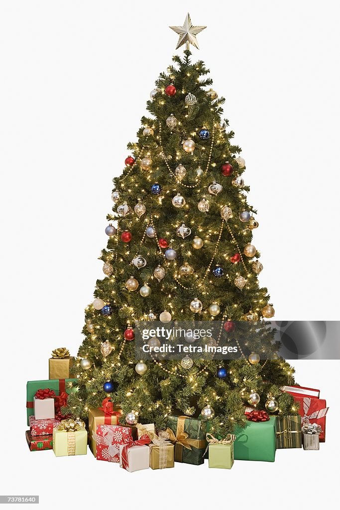 Studio shot of Christmas tree with gifts