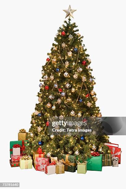 studio shot of christmas tree with gifts - tannenbaum stock pictures, royalty-free photos & images
