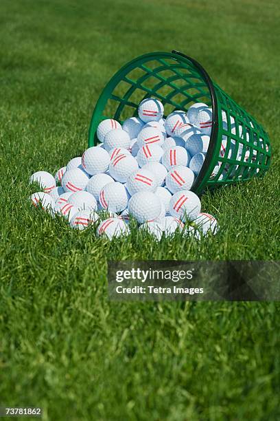basket of golf balls spilling onto grass - campo-di-allenamento-per-il-golf foto e immagini stock