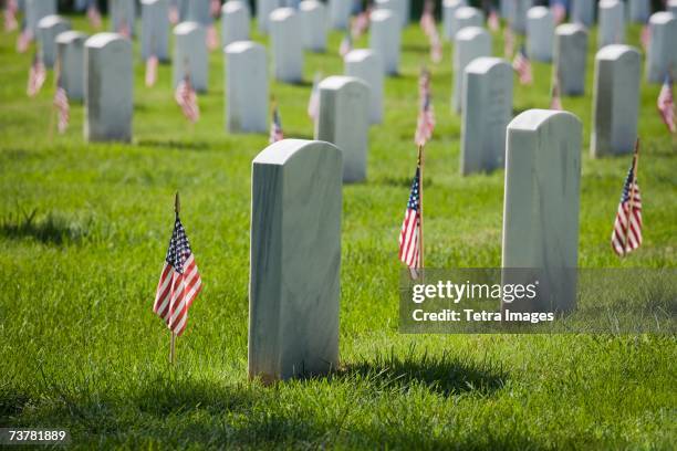 arlington national cemetery washington dc usa - arlington national cemetery stock pictures, royalty-free photos & images