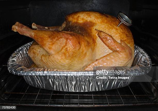 turkey roasting in oven - thermometer turkey stock pictures, royalty-free photos & images