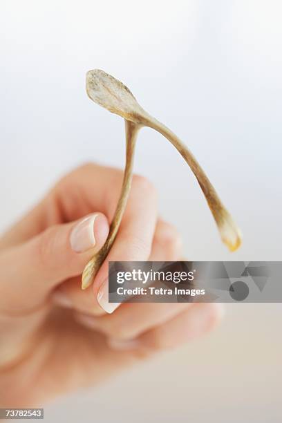 close up of woman holding wishbone - wishbone stock pictures, royalty-free photos & images