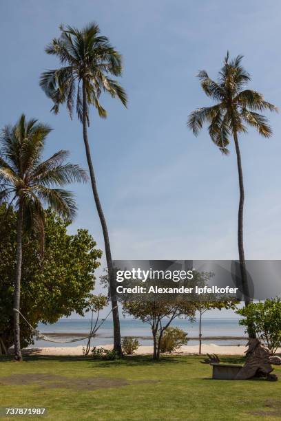 beach scenes - alexander ipfelkofer bildbanksfoton och bilder