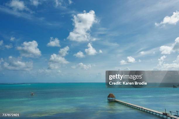 beach scenes - ambergris caye stock pictures, royalty-free photos & images