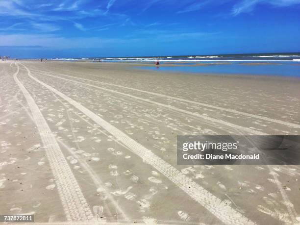 beach scenes - sandy macdonald stock pictures, royalty-free photos & images