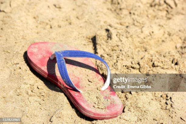 beach scenes - emma gibbs stock pictures, royalty-free photos & images