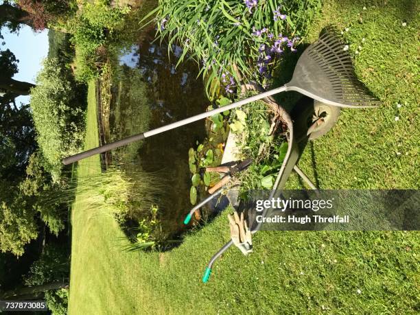 Pond Rake Net 108 Pond Rake Stock Photos, High-Res Pictures, and Images - Getty Images