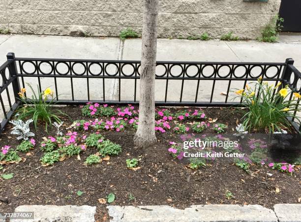 780 Curb Extension Stock Photos, High-Res Pictures, and Images - Getty ...