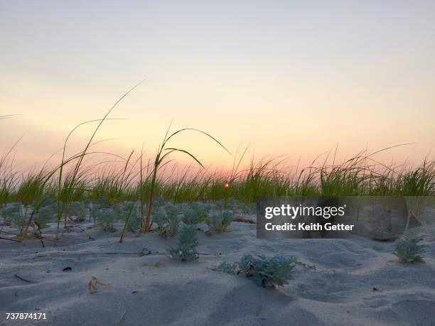 beach scenes - jones beach state park stock pictures, royalty-free photos & images