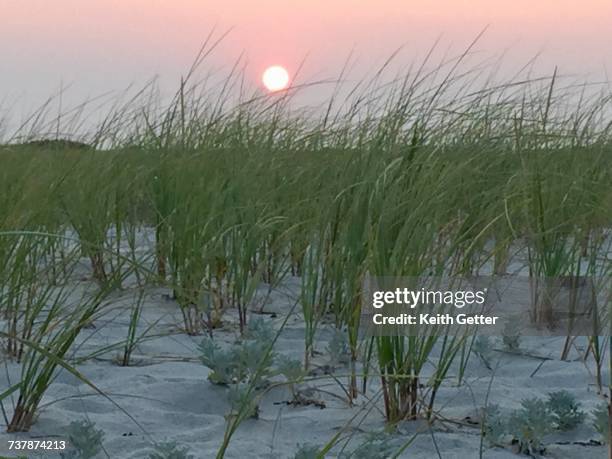beach scenes - jones beach state park stock pictures, royalty-free photos & images