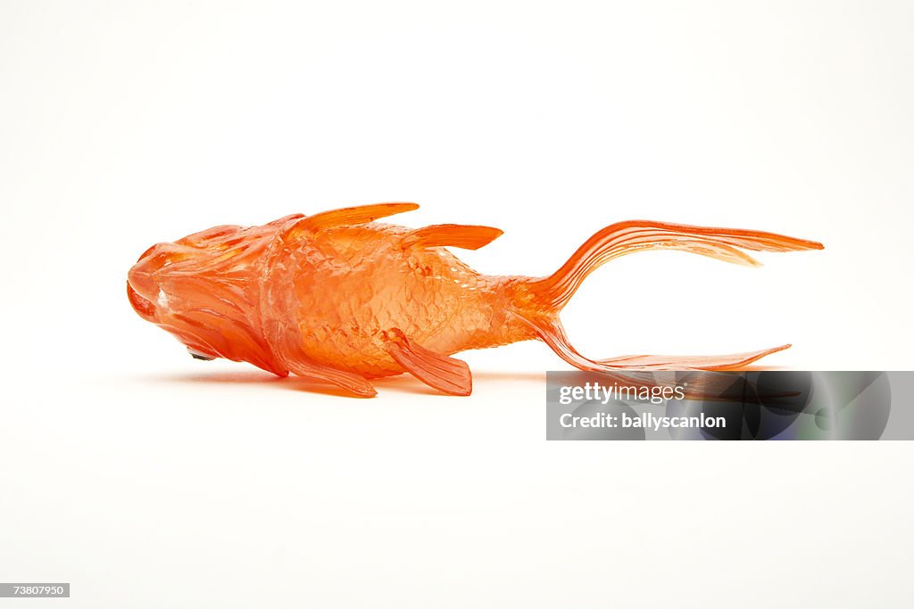 Plastic orange toy fish on white background, close-up