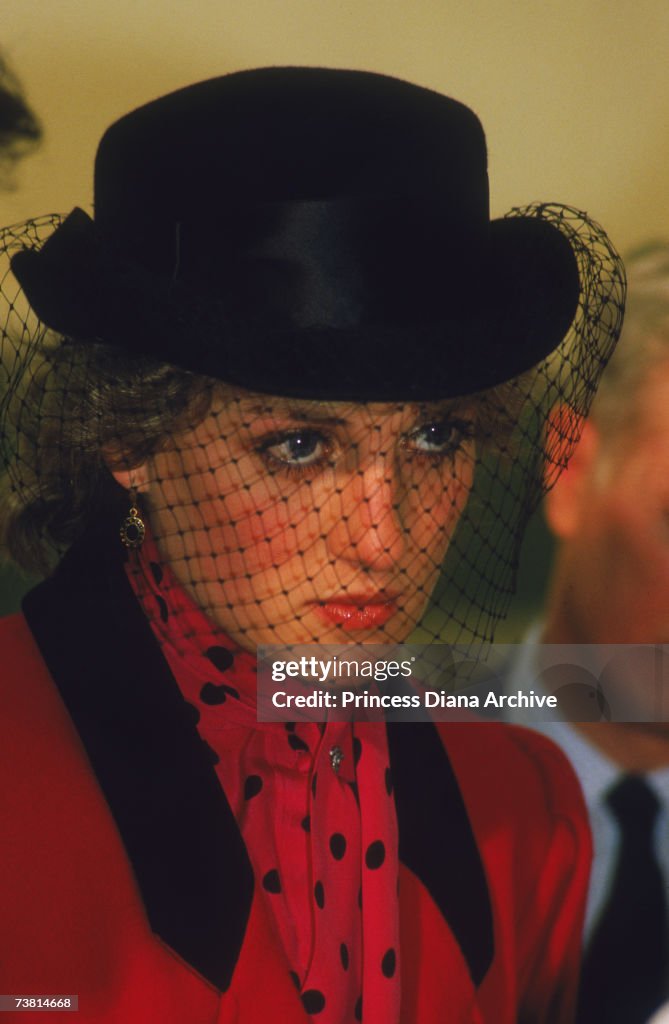 Diana In Sheffield