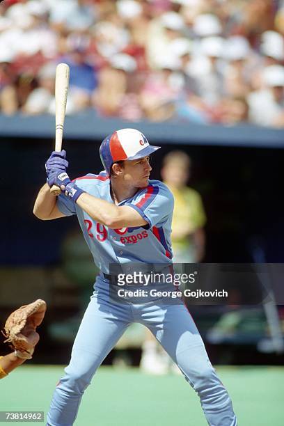 Third baseman Tim Wallach of the Montreal Expos bats against the Pittsburgh Pirates at Three Rivers Stadium circa 1987 in Pittsburgh, Pennsylvania.