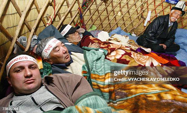 Frontlets 11 Frontlets Stock Photos, High-Res Pictures, and Images - Getty Images