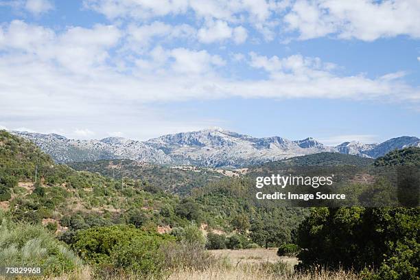 sierra nevada - andalucian sierra nevada stock pictures, royalty-free photos & images