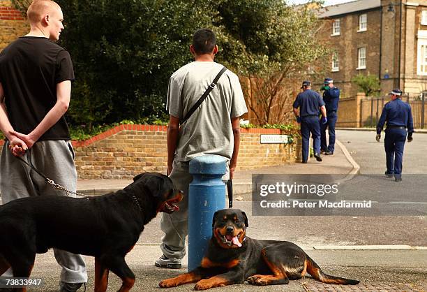 Local youth watch as police search for clues in Leytonstone on April 7, 2007 in north-east London, England. Paul Erhahon was stabbed to death in what...