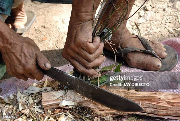 Siquijor, PHILIPPINES: TO GO WITH Philippines-religion-magic-witchcraft,sched-FEATURE by Karl Wilson A man chops up herbs to be used for making...
