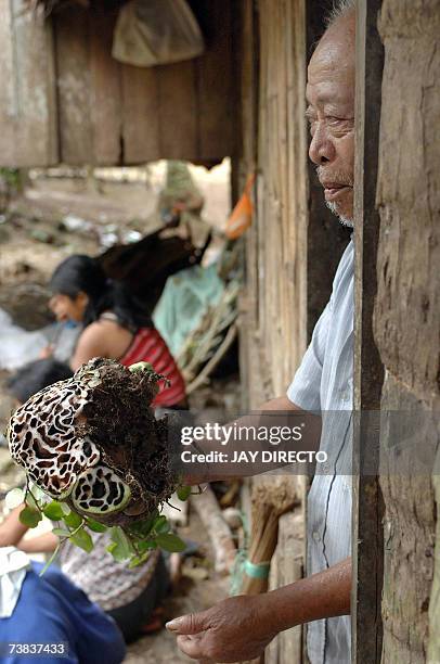 Siquijor, PHILIPPINES: TO GO WITH Philippines-religion-magic-witchcraft,sched-FEATURE by Karl Wilson Lolo Juan Ponce holds one of the herbs he uses...