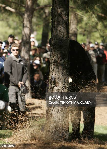 Augusta, UNITED STATES: The bent club of Tiger Woods of the US can be seen against the trunk of a tree after he hit a shot on the 11th hole 08 April,...