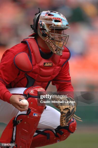 Jesus Flores of the Washington Nationals looks on while catching against the Arizona Diamondbacks on April 8, 2007 at RFK Stadium in Washington D.C....