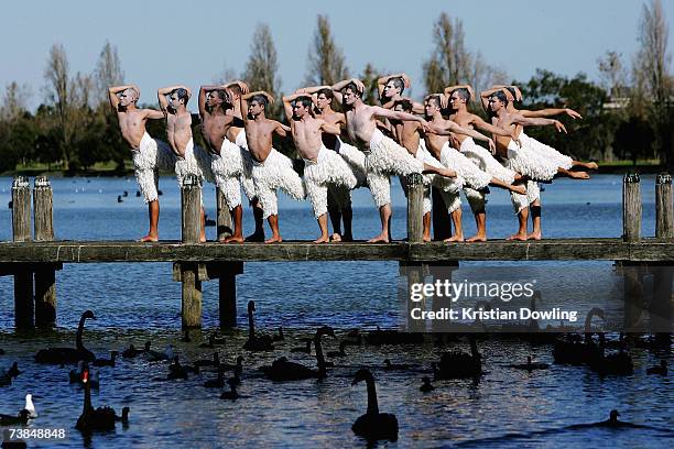 Dancers pose at the photocall prior to the first night of the Melbourne leg of Matthew Bourne's reinvention of Tchaikovsky's Swan Lake, at Albert...