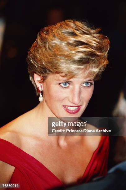 Princess Diana 1990 November Photos and Premium High Res Pictures ...