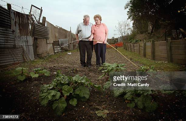 Tommy and Eileen Doolan work on their plot on the Manor Garden Allotments at the heart of the 2012 Olympic site on April 11, 2007 in London, England....