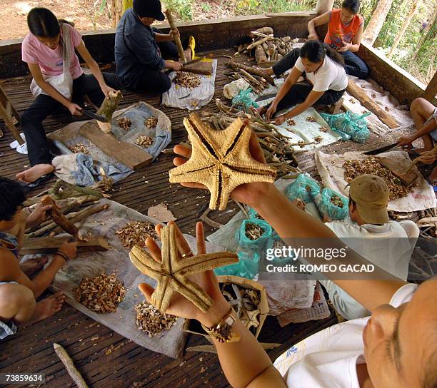 Siquijor, PHILIPPINES: TO GO WITH Philippines-religion-magic-witchcraft,sched-FEATURE by Karl Wilson Erlyn Guiapal , granddaughter of Filipino healer...