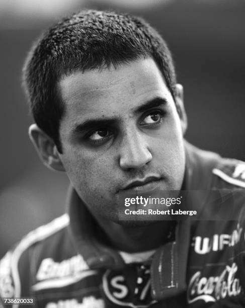 Target Reynard Photos And Premium High Res Pictures Getty Images target-reynard-photos-and-premium-high-res-pictures-getty-images