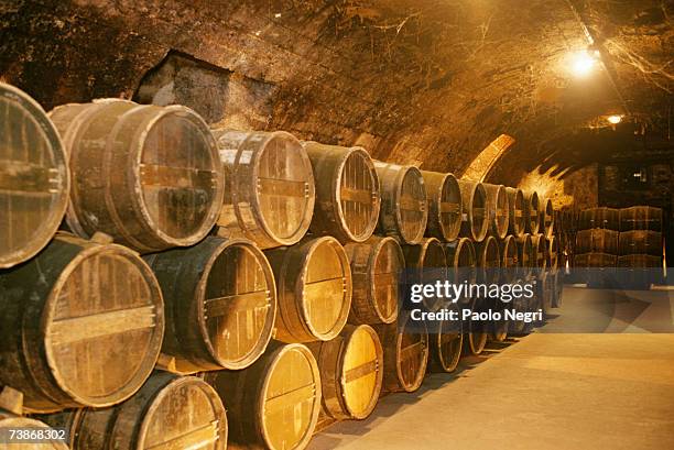 france, cognac, otard distillery, rows of kegs in cellar - cognac fotografías e imágenes de stock