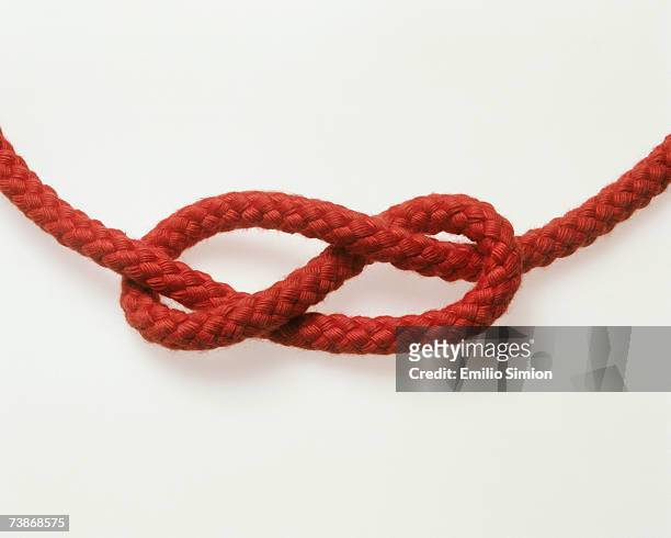 figure-of-eight knot - noeud coulant en huit photos et images de collection