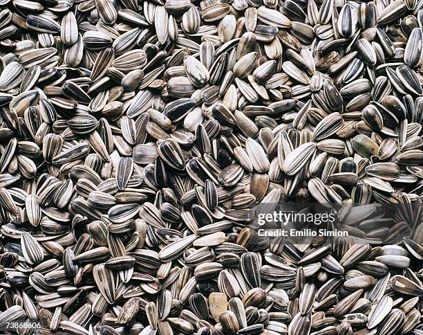 sunflower seeds, close-up - sunflower seed stock pictures, royalty-free photos & images