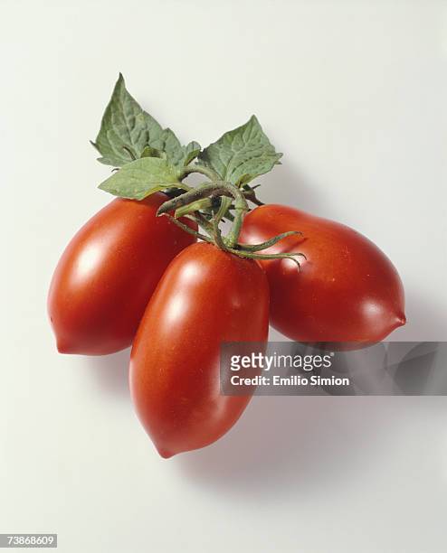 plum tomatoes - eiertomate stock-fotos und bilder