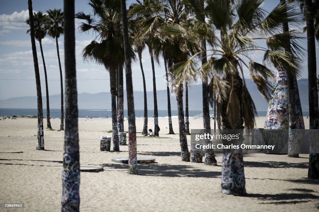 Venice Beach