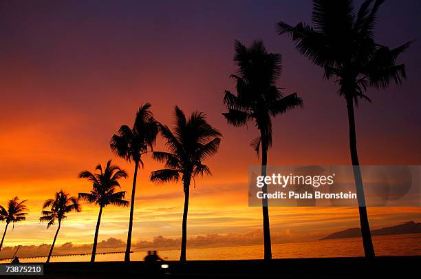 Motorcyle rider drives along the beach at sunset April 13, 2007 in Dili, East Timor. Tallies show current Prime Minister Jose Ramos-Horta and...