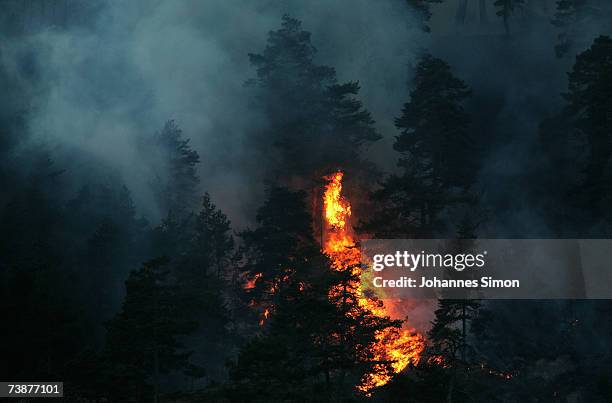 Fire and dense fog are seen during forest fire on April 13 near Bad Reichenhall, Germany. Peggy", a high pressure system with unusually warm,...