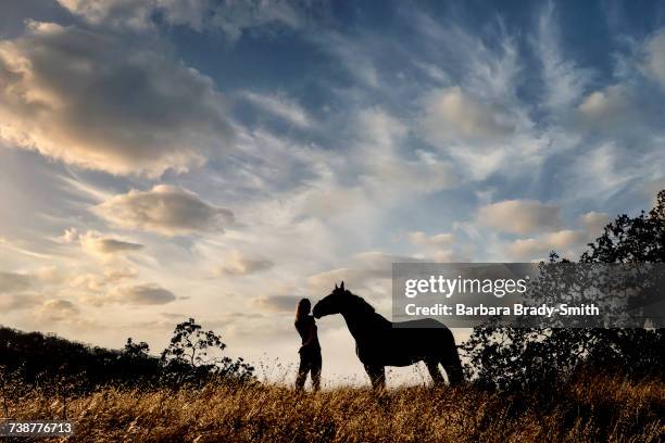 silhouette of caucasian woman and horse standing in landscape - 1 woman 1 horse stock-fotos und bilder