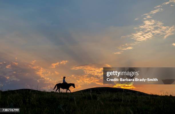 silhouette of caucasian woman riding horse at sunset - sunset barbara stock-fotos und bilder