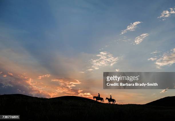 silhouette of caucasian couple riding horses at sunset - vaqueira imagens e fotografias de stock