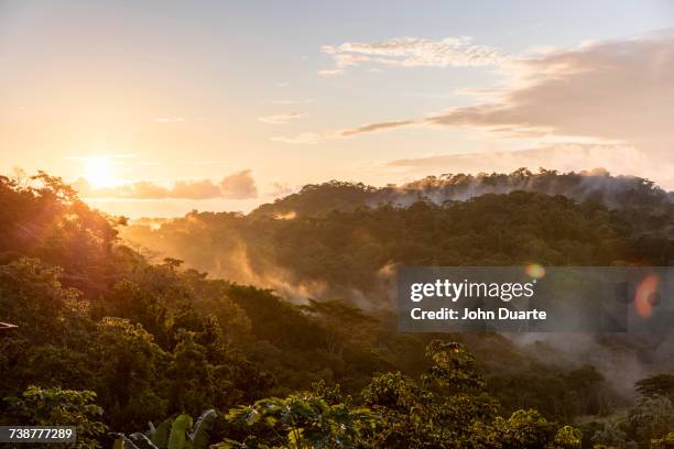 fog on mountains at sunset - nosara costa rica stock pictures, royalty-free photos & images