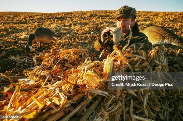 waterfowl hunters in field lay down in blinds - bartstoppel stock-fotos und bilder