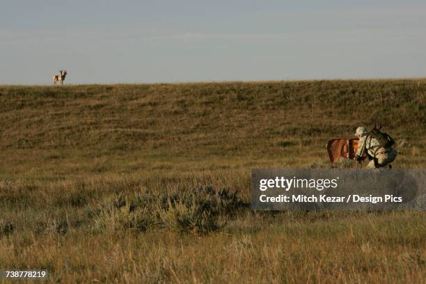 man hunting antelope in a field - hunting longbow - fotografias e filmes do acervo