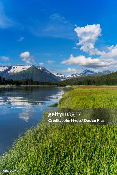 eagle river intertidal area at high tide, with the chilkat mountains in the distance, eagle beach state recreational area, near juneau - river chilkat stock pictures, royalty-free photos & images