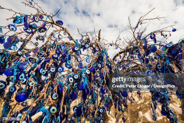nazars, charms used to ward off the evil eye, hanging on a tree in the goreme valley - schmuckanhänger stock-fotos und bilder