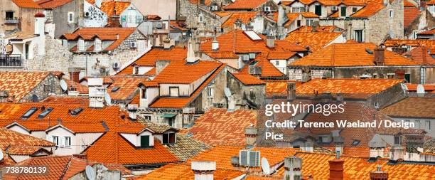 view of rooftops - terence waeland stock-fotos und bilder