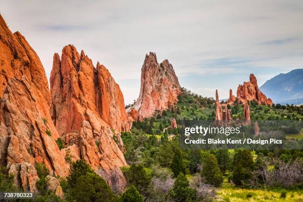 garden of the gods - garden of the gods foto e immagini stock